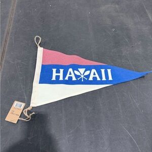 Kailenny X Salty Edition Pennant Hawaii Flag